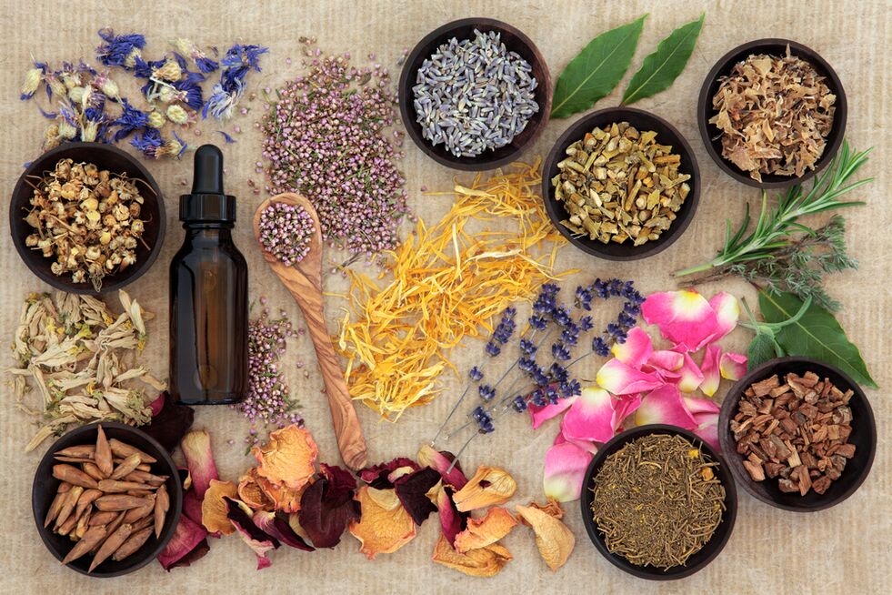 herb for skin rejuvenation